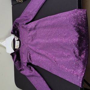 NEW SWAT Purple and Silver Metallic Velour Glittery Dress